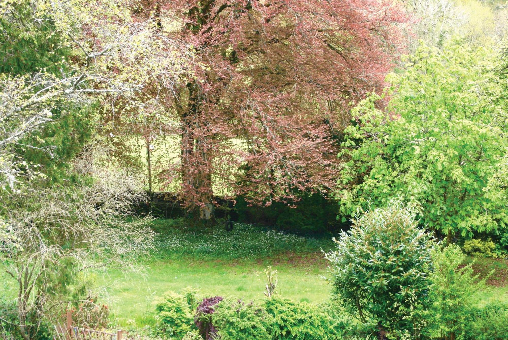 Afon Rhaiadr Country House Долгелай Екстериор снимка