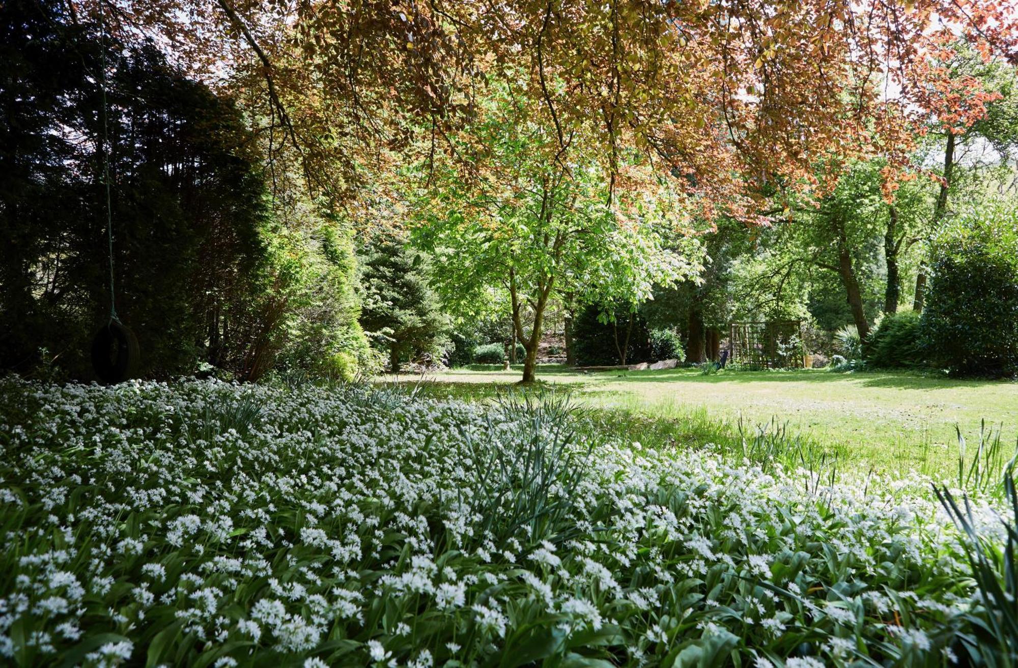 Afon Rhaiadr Country House Долгелай Екстериор снимка